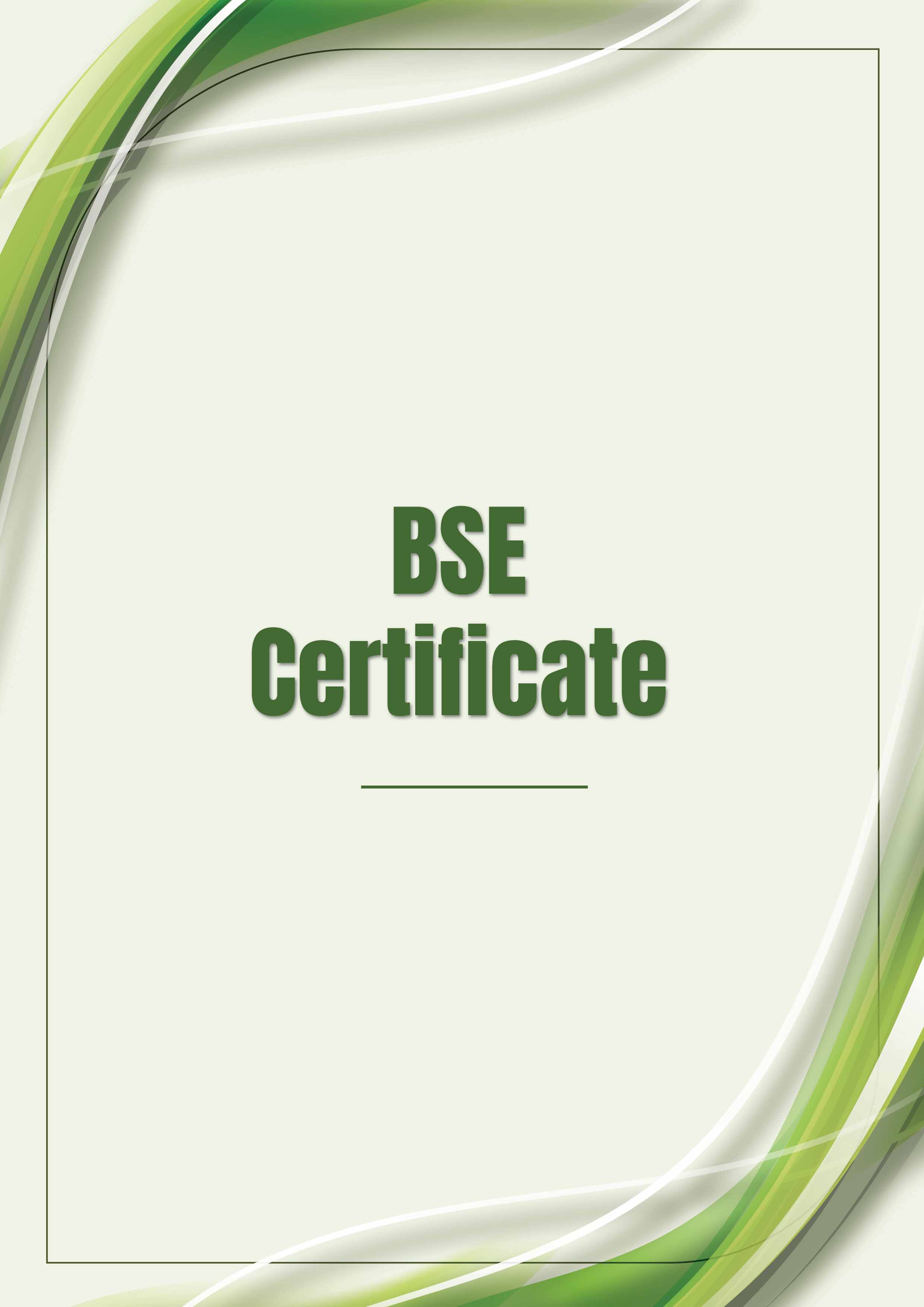 BSE Certificate